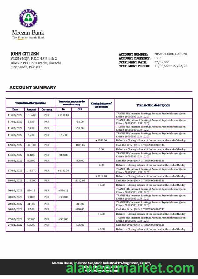 Pakistan Meezan bank statement